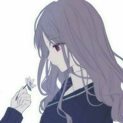 边牧路边等主人却被无故打碎骨头